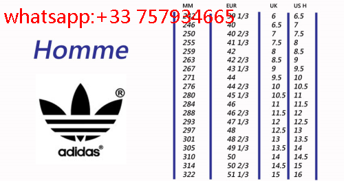 adidas pointure